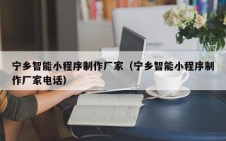 肥城宁乡智能小程序制作厂家（宁乡智能小程序制作厂家电话）